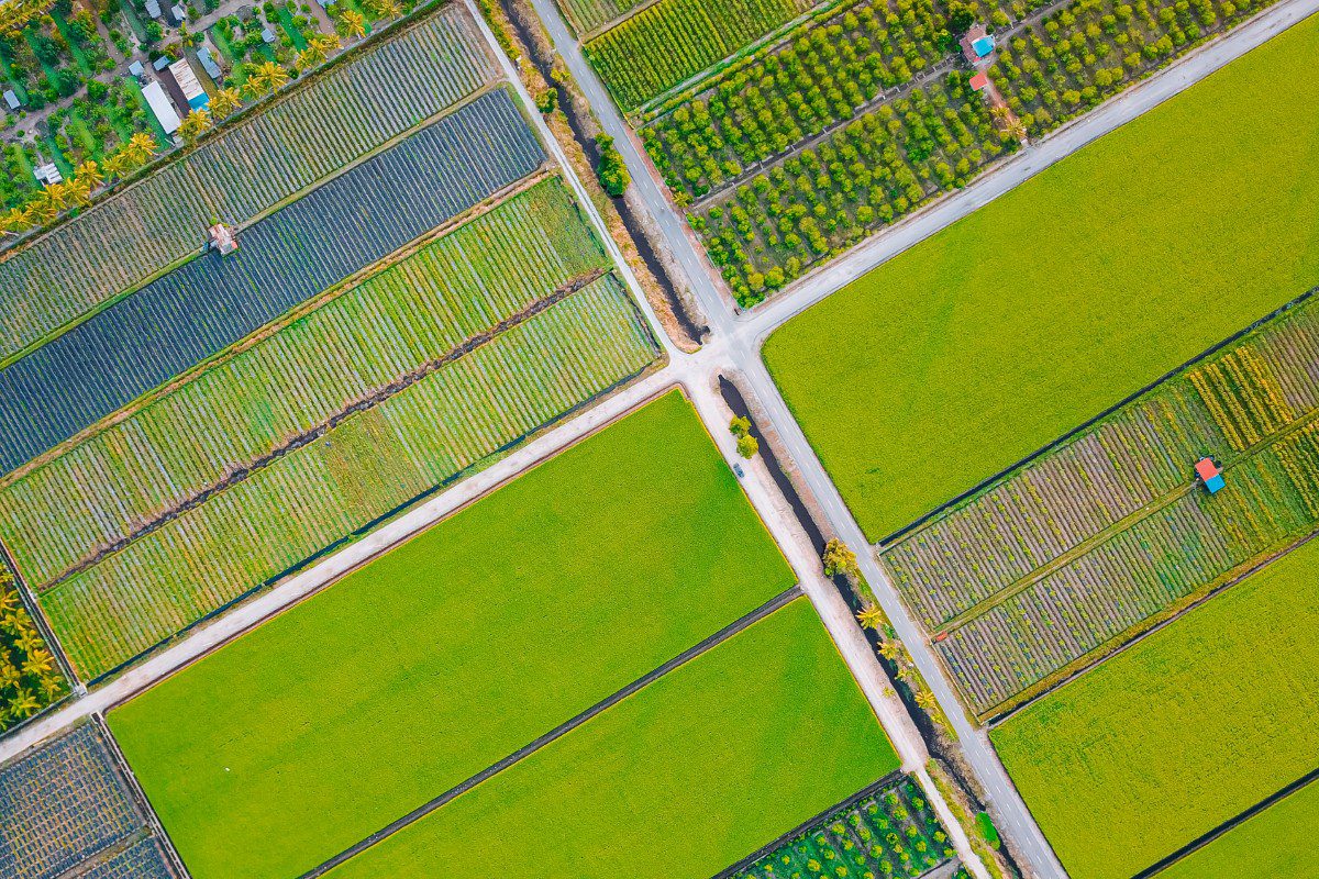 Aerial view of vibrant agricultural fields.