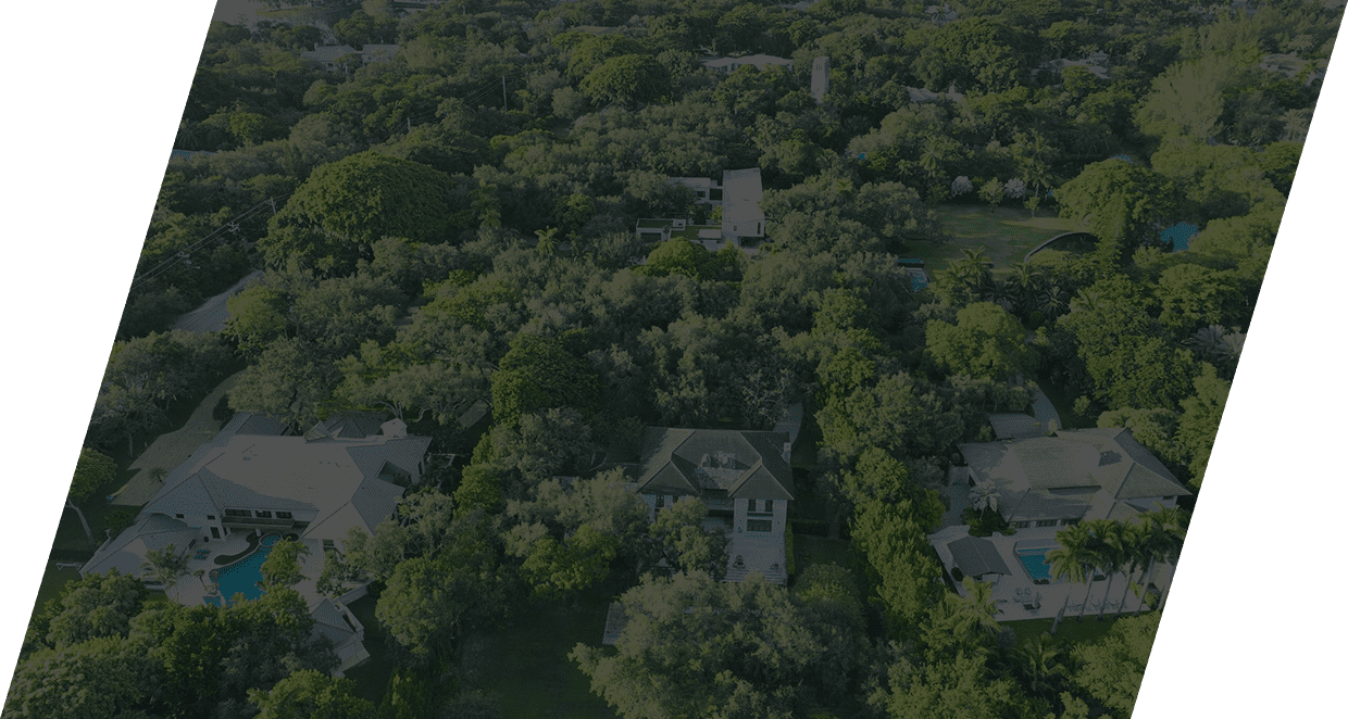 Aerial view of houses surrounded by trees.