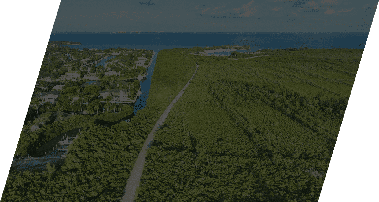 Aerial view of lush landscape and ocean.